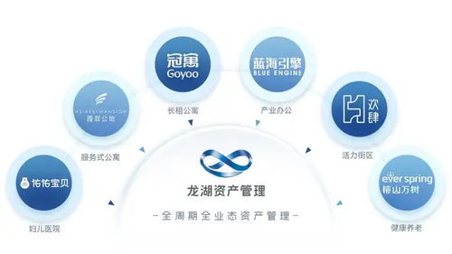 混合业态与长期主义 看这家企业如何重构资产价值