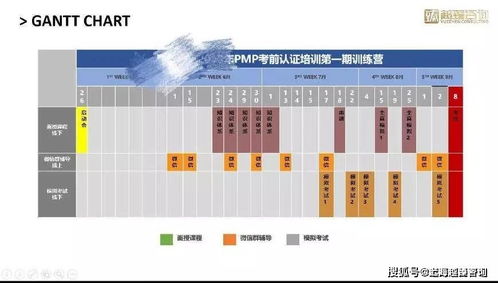 PMP项目管理培训 企业管理的战略投资与实践路径